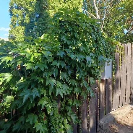 Paratlan Panorama Kishaz * Tahitófalu